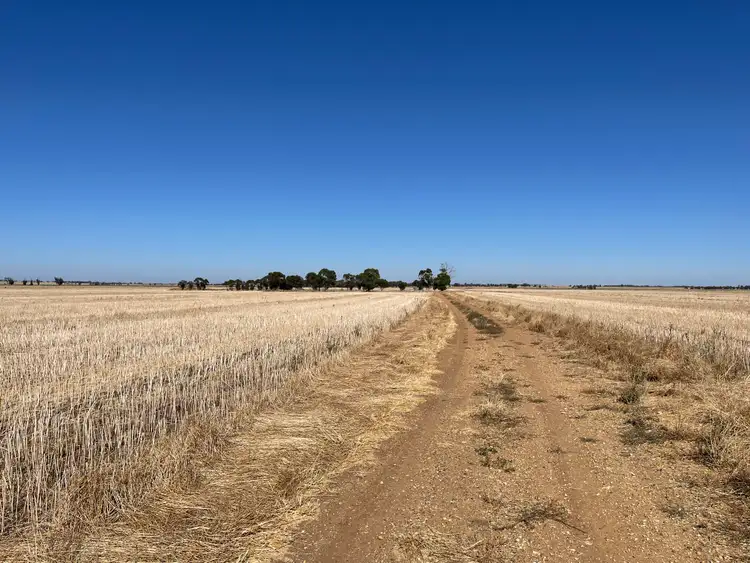 Third view of Homely rural property listing, 0 Swanwater Road, Swanwater VIC 3477