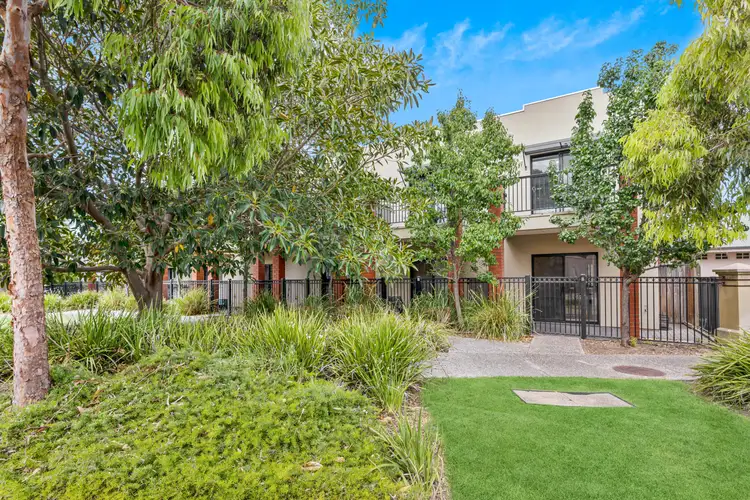 Main view of Homely townhouse listing, 8/20 Macmillan Avenue, Mawson Lakes SA 5095