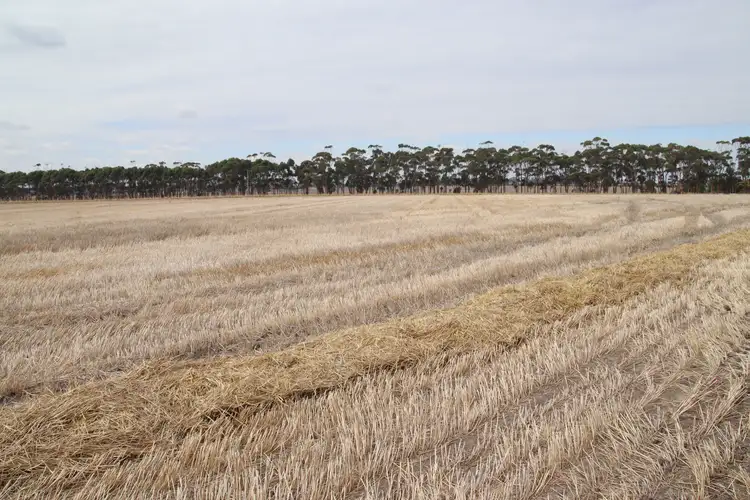 Main view of Homely rural property listing, Cnr Lismore Road and Bradshaws Road, Wallinduc VIC 3351