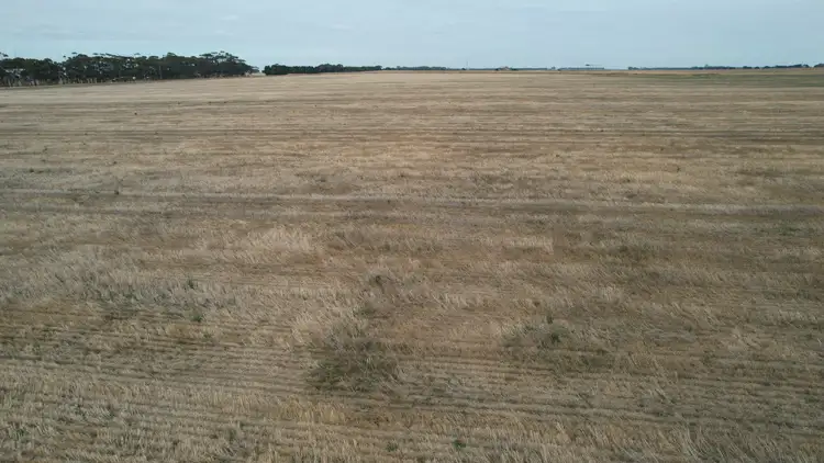 Third view of Homely rural property listing, Cnr Lismore Road and Bradshaws Road, Wallinduc VIC 3351
