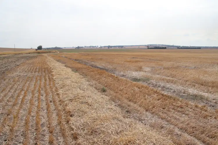 Fourth view of Homely rural property listing, Cnr Lismore Road and Bradshaws Road, Wallinduc VIC 3351