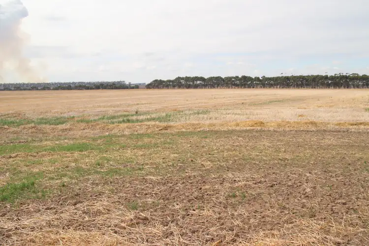 Fifth view of Homely rural property listing, Cnr Lismore Road and Bradshaws Road, Wallinduc VIC 3351