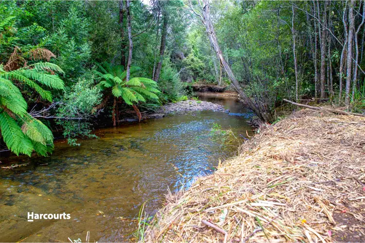 Lot 1 Denison Road, Lonnavale TAS 7109