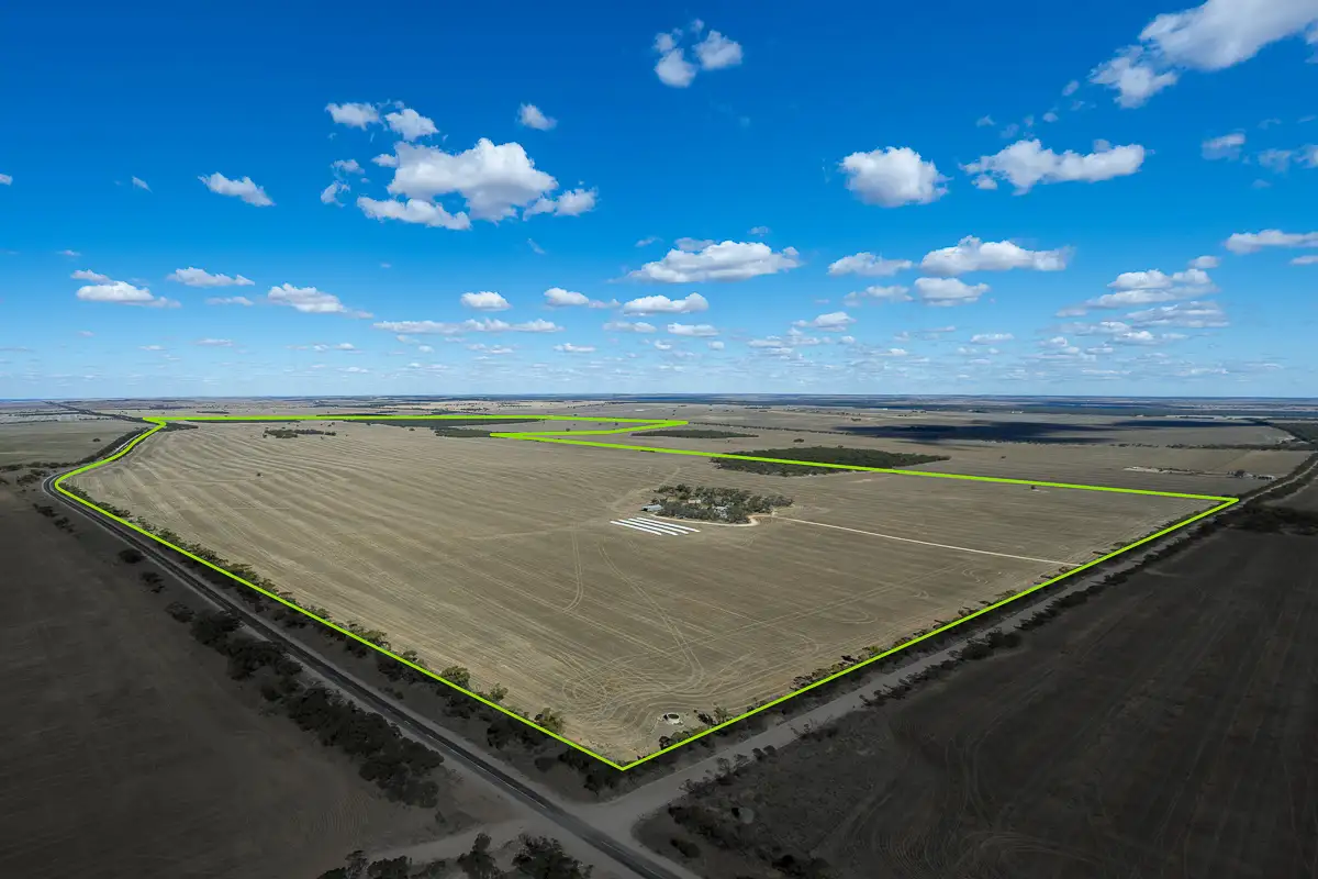 Main view of Homely rural property listing, 51 Burt Road, Younghusband SA 5238