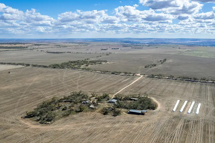 Second view of Homely rural property listing, 51 Burt Road, Younghusband SA 5238