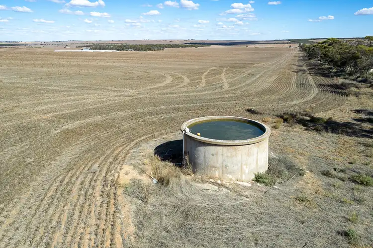 Third view of Homely rural property listing, 51 Burt Road, Younghusband SA 5238