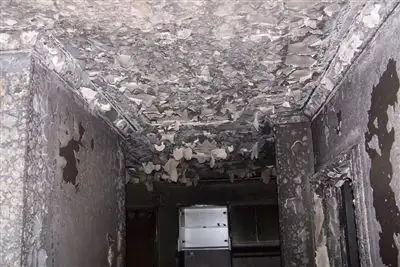 Sixth view of Homely house listing, 11 Anane Street, Chigwell TAS