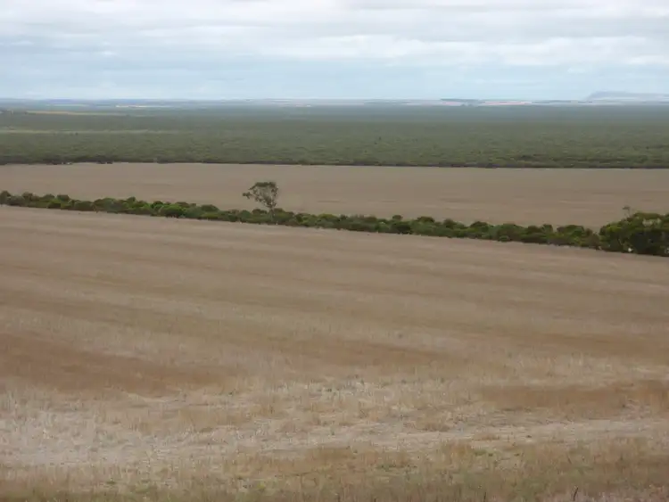 Sixth view of Homely rural property listing, 2706 Mount Damper Road, Mount Damper SA 5654