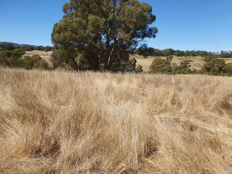 Fourth view of Homely land listing, 1 Main Street, Strathbogie VIC 3666