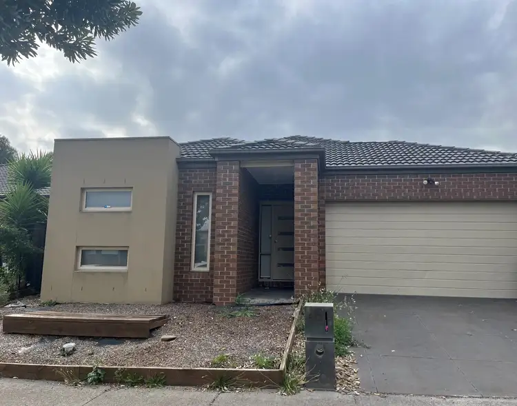 46 Ardsley Circuit, Craigieburn VIC 3064