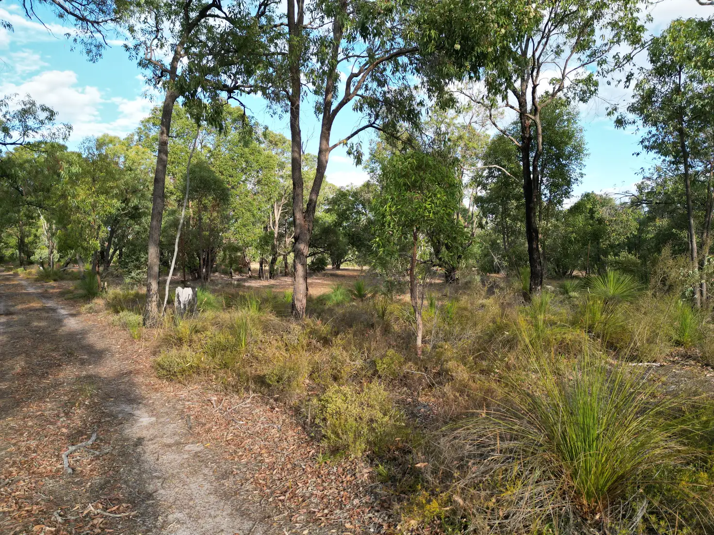 Main view of Homely land listing, LOT 204 Polinelli Road, Lower Chittering WA 6084