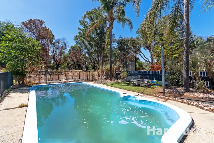 Second view of Homely house listing, 31 Timely Hostess Mews, Mariginiup WA 6078