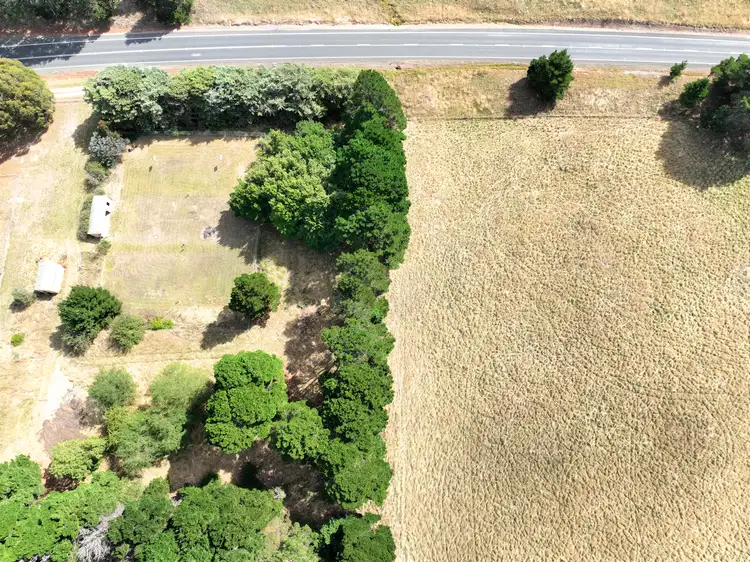 Seventh view of Homely house listing, 2098 Monaro Highway, Ando NSW 2631