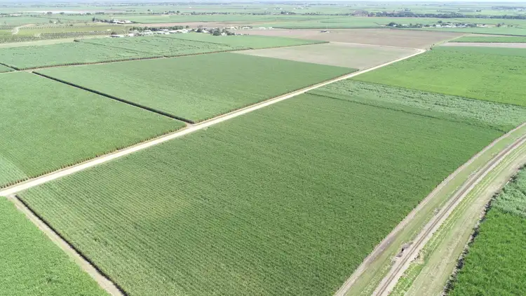 Fifth view of Homely rural property listing, 79 Webber Road, Ayr QLD 4807
