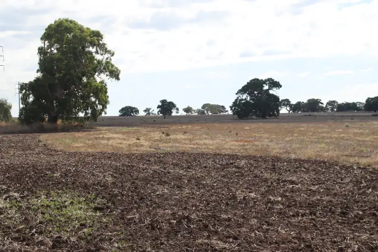 Third view of Homely rural property listing, 9A Rokewood-Skipton Road, Skipton VIC 3361