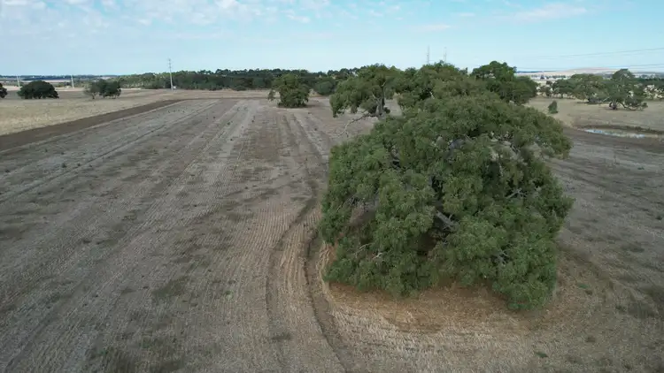 Fifth view of Homely rural property listing, 9A Rokewood-Skipton Road, Skipton VIC 3361