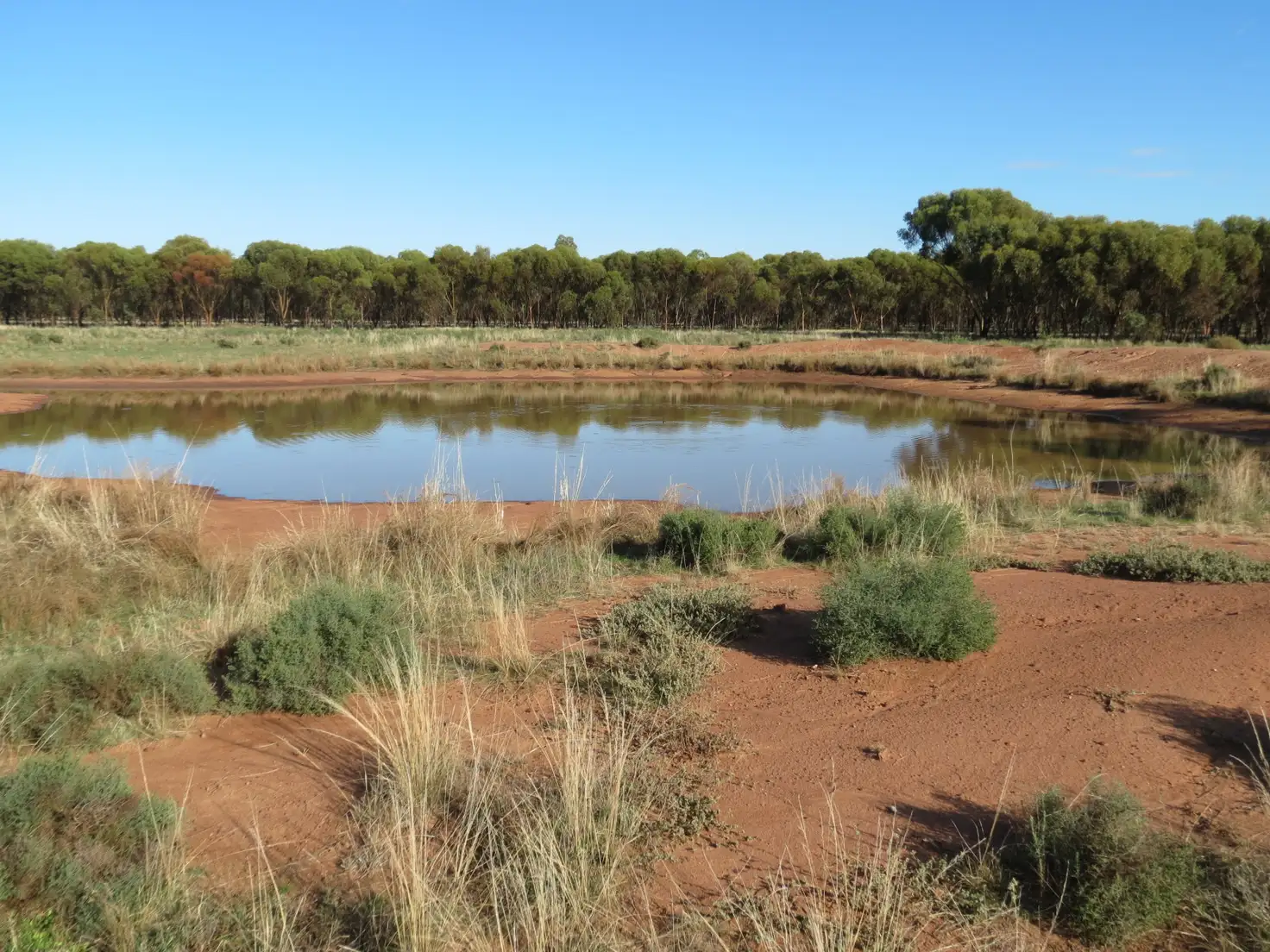 Main view of Homely rural property listing, 430 Lees lane, Alleena NSW 2671