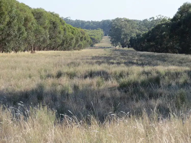 Second view of Homely rural property listing, 430 Lees lane, Alleena NSW 2671