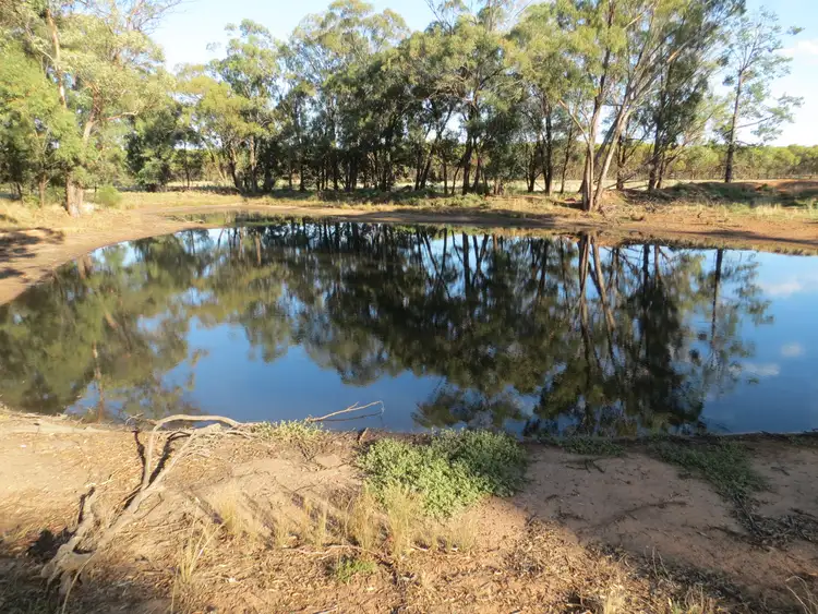 Third view of Homely rural property listing, 430 Lees lane, Alleena NSW 2671