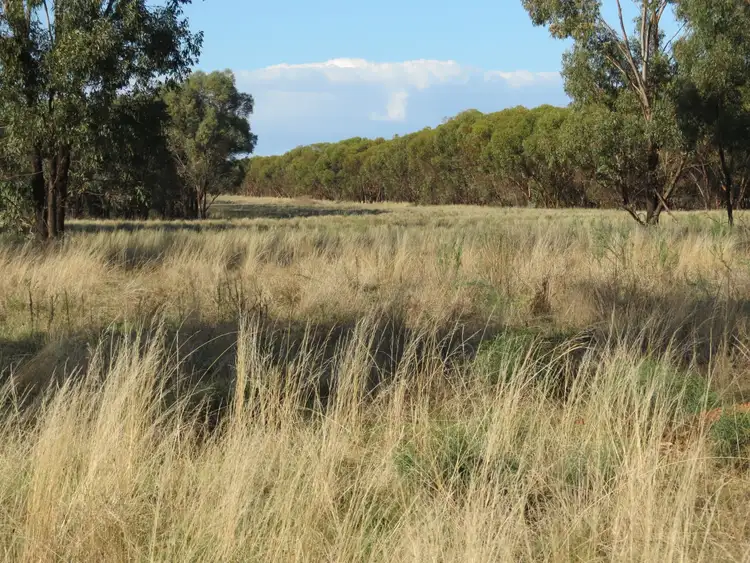 Fourth view of Homely rural property listing, 430 Lees lane, Alleena NSW 2671
