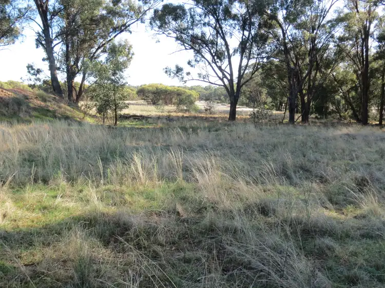 Fifth view of Homely rural property listing, 430 Lees lane, Alleena NSW 2671
