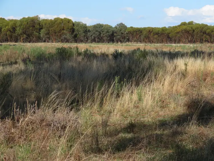Sixth view of Homely rural property listing, 430 Lees lane, Alleena NSW 2671