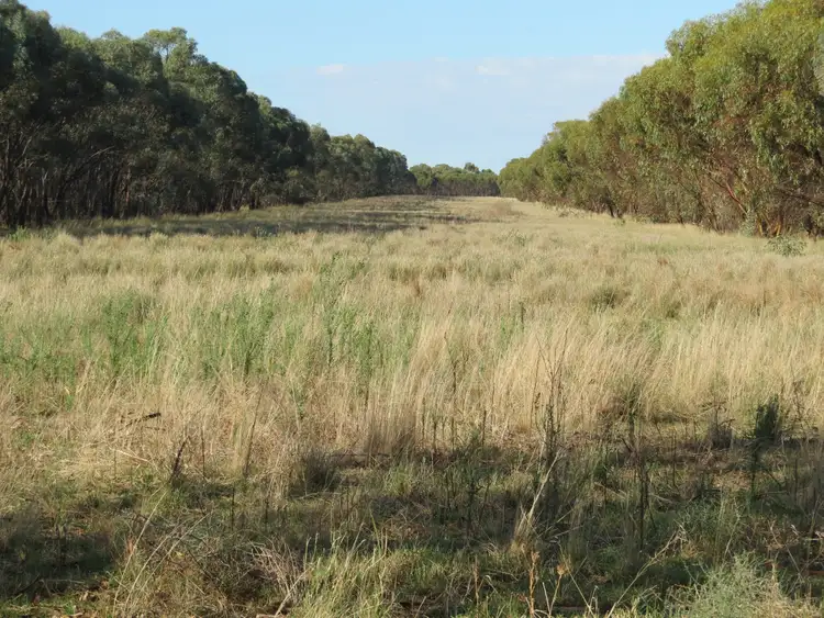 Seventh view of Homely rural property listing, 430 Lees lane, Alleena NSW 2671