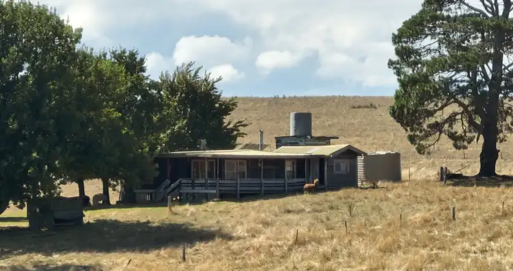 Fourth view of Homely rural property listing, 1006 Benambra Road, Hinnomunjie VIC 3898