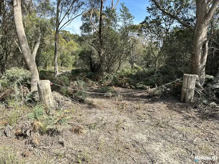 Third view of Homely land listing, 1132 North Ansons Road, Ansons Bay TAS 7264