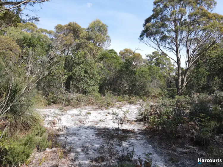 Fourth view of Homely land listing, 1132 North Ansons Road, Ansons Bay TAS 7264