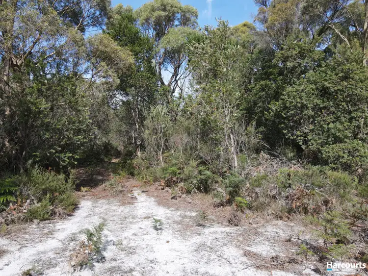 Fifth view of Homely land listing, 1132 North Ansons Road, Ansons Bay TAS 7264