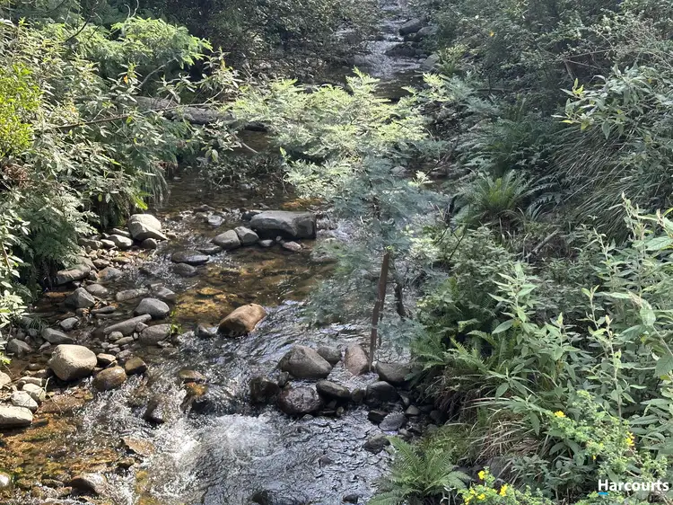 Main view of Homely land listing, 310 Davis Gully Road, Four Mile Creek TAS 7215
