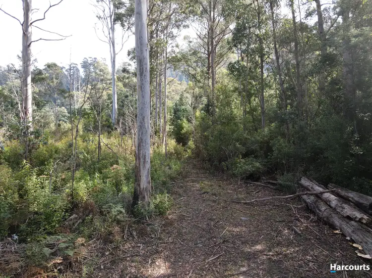 Second view of Homely land listing, 310 Davis Gully Road, Four Mile Creek TAS 7215