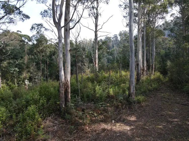 Fourth view of Homely land listing, 310 Davis Gully Road, Four Mile Creek TAS 7215