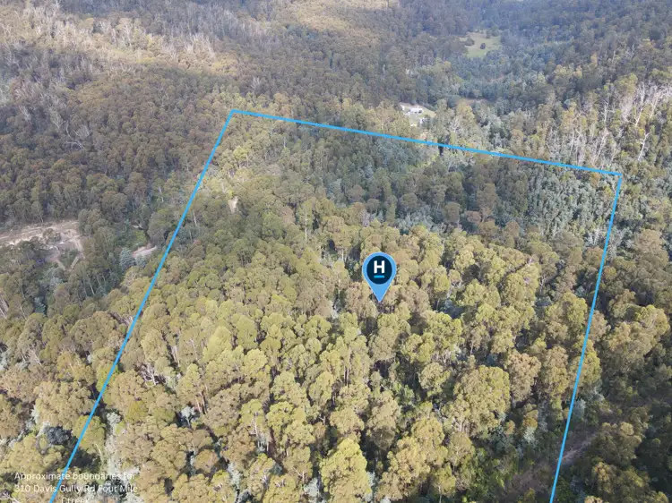Sixth view of Homely land listing, 310 Davis Gully Road, Four Mile Creek TAS 7215
