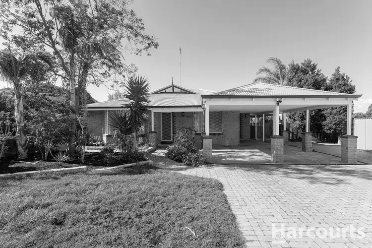 Main view of Homely house listing, 3 Sage Court, Halls Head WA 6210