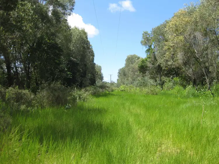 - Bluff Road
