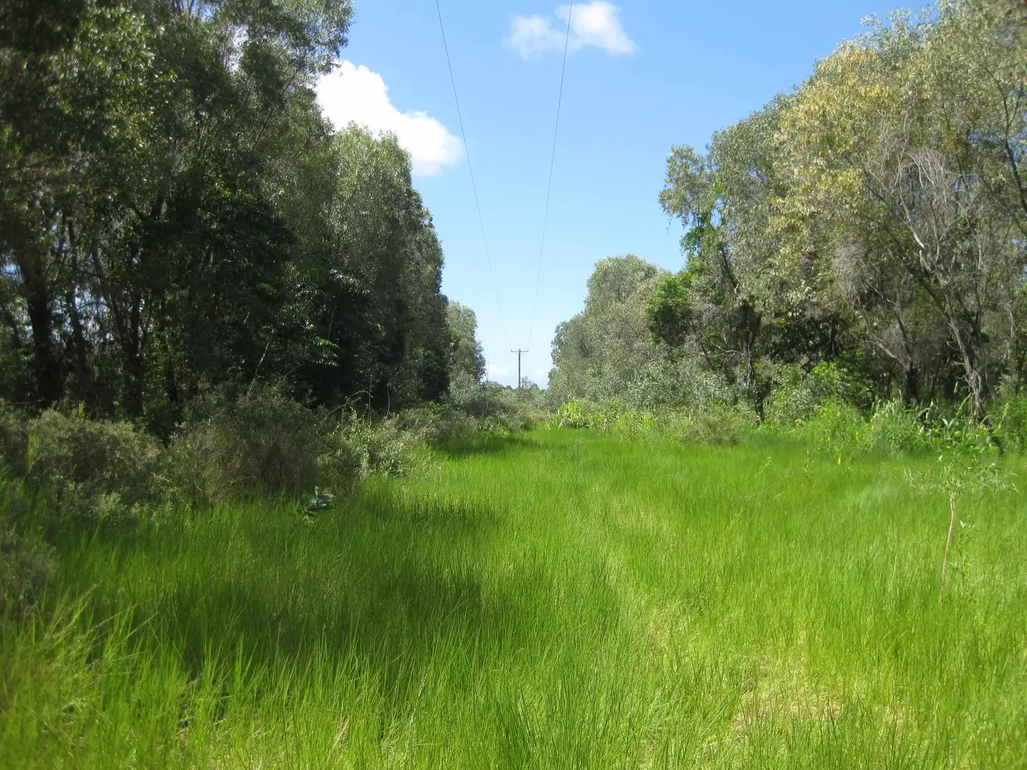 Main view of Homely rural property listing, - Bluff Road, Bilyana QLD 4854