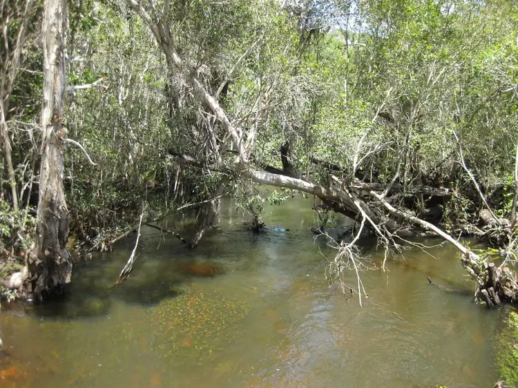 Second view of Homely rural property listing, - Bluff Road, Bilyana QLD 4854