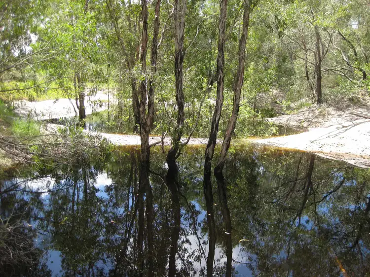 Fourth view of Homely rural property listing, - Bluff Road, Bilyana QLD 4854