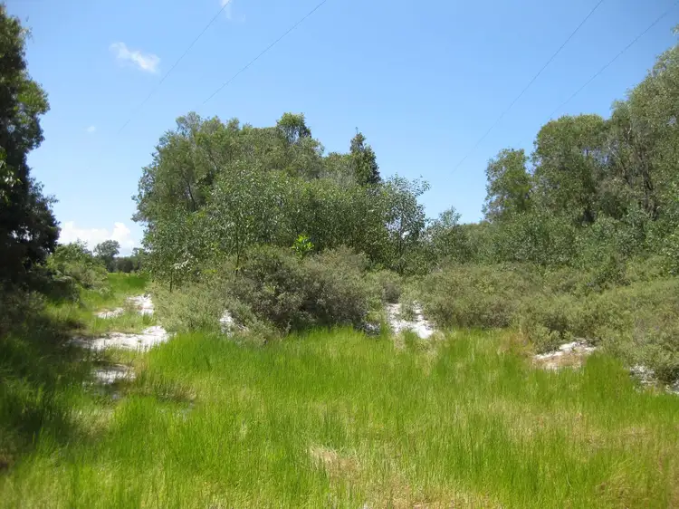 Sixth view of Homely rural property listing, - Bluff Road, Bilyana QLD 4854