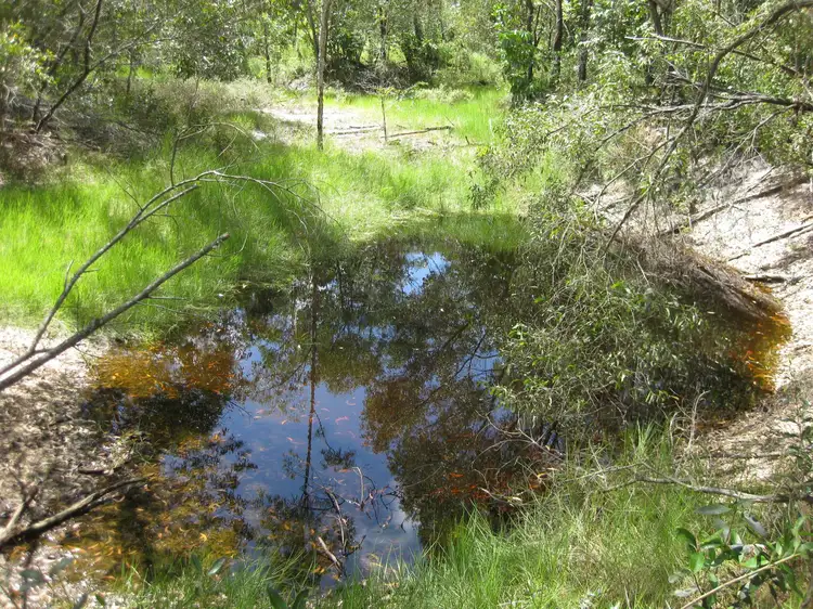 Seventh view of Homely rural property listing, - Bluff Road, Bilyana QLD 4854