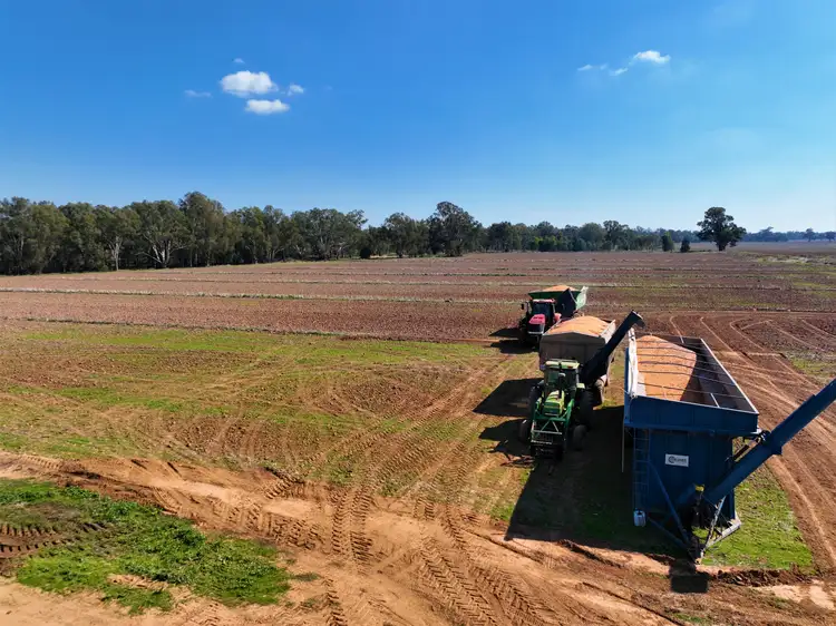 Second view of Homely rural property listing, Part Swindon Lodge 875 Tuppal Road, Tocumwal NSW 2714