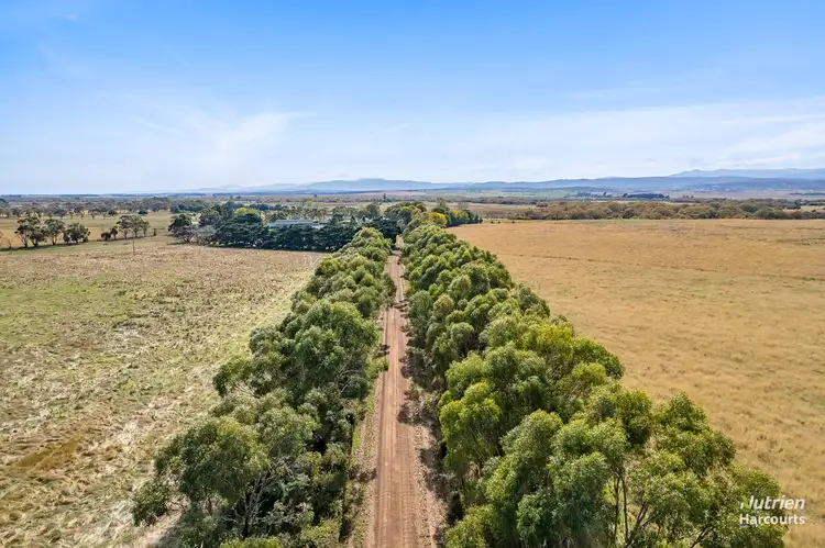 Fourth view of Homely rural property listing, 155 Belle Vue Road, Epping Forest TAS 7211