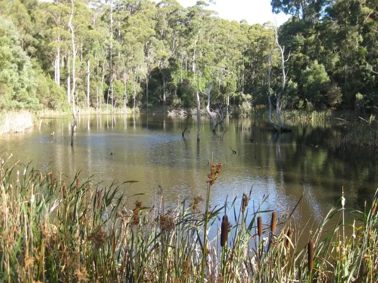 Second view of Homely rural property listing, 519 Lapoinya Road, Lapoinya TAS 7325