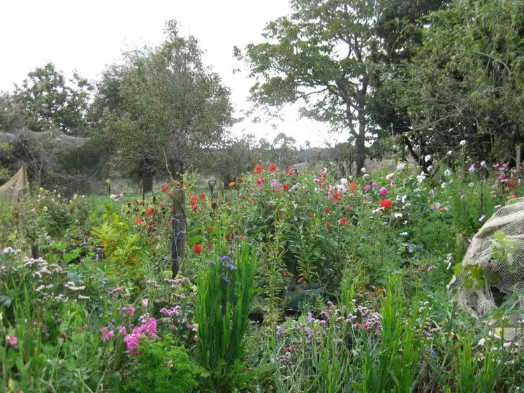 Third view of Homely rural property listing, 519 Lapoinya Road, Lapoinya TAS 7325