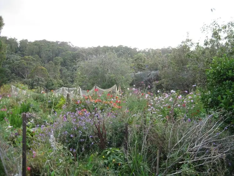 Fourth view of Homely rural property listing, 519 Lapoinya Road, Lapoinya TAS 7325