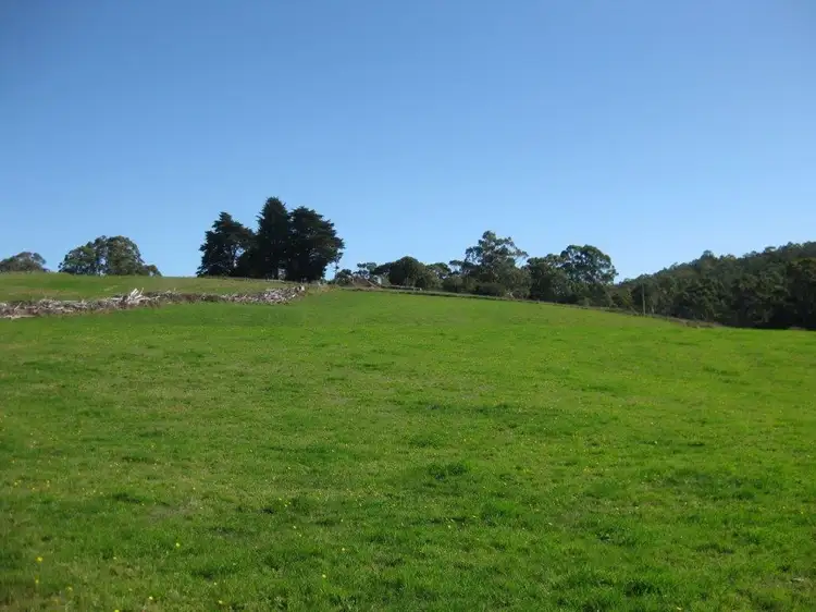 Fifth view of Homely rural property listing, 519 Lapoinya Road, Lapoinya TAS 7325