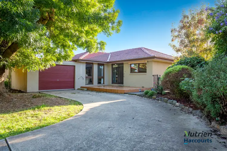 Main view of Homely house listing, 49 Snodgrass Street, Yea VIC 3717