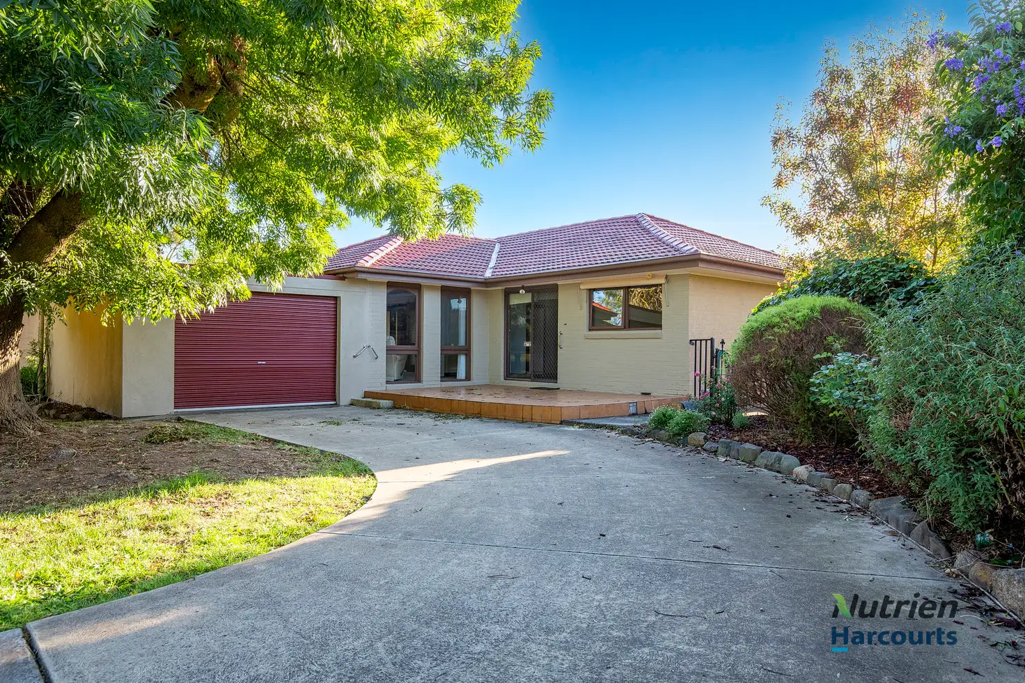 Main view of Homely house listing, 49 Snodgrass Street, Yea VIC 3717